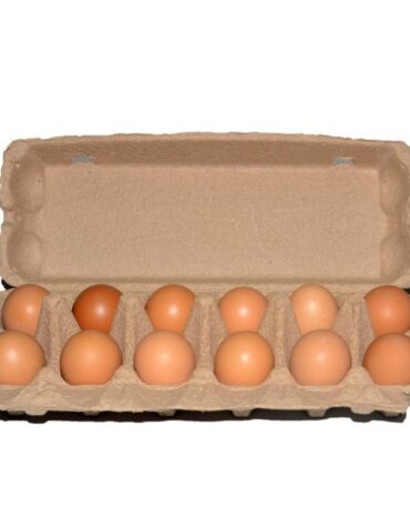 Free-range chicken egg