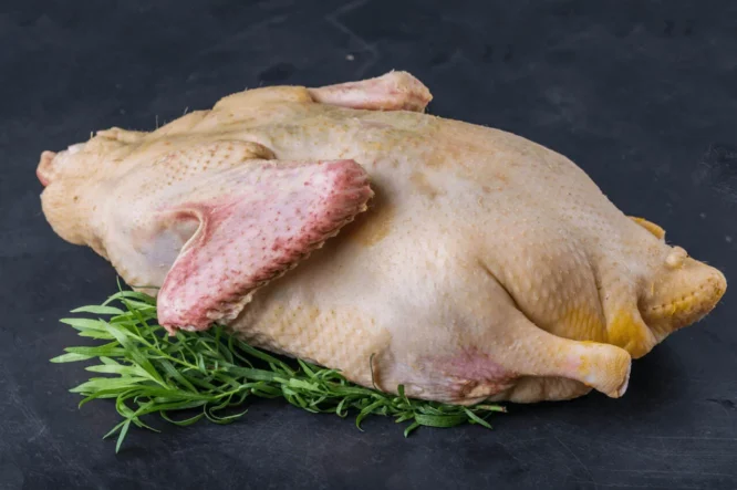 Organic Goose, Whole (frozen)